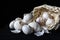 Fresh Single Clove Garlics or pearl garlic or solo garlic, with basket