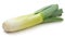 Fresh single leek isolated on white background for versatile culinary ingredient use