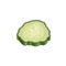 Fresh slice cucumber, vector in flat style