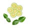 Fresh sliced bergamot on white background