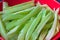 Fresh sliced cucumber strips on scarlet plate