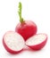 Fresh small radish