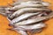 Fresh smelts fish