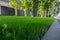 fresh, smooth green lawn at the yard of the house