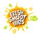 Fresh smoothies logo emblem bright splash shiny stickers, organic emblems banners labels , fruits vegetables fresh juice.