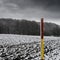 Fresh snow, lying across fields