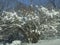 fresh snow on tree bush after New England snow storm - blue skies