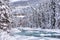 Fresh snow on trees at Toby Creek in Kootenay National Park, British Columbia, Canada