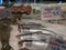 Fresh sockeye salmon, rainbow trout, and halibut and sale signs and prices in ice at a fish market store front