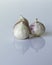 Fresh Solo garlic bulbs which are used for cooking on a white ba