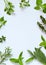 Fresh spicy and medicinal herbs on white background. Border from various herb - rosemary, oregano, sage, marjoram, basil, thyme, m
