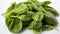 fresh spinach leaves HD 8K wallpaper stock photographic image