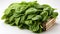 fresh spinach leaves HD 8K wallpaper stock photographic image