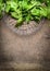 Fresh spinach leaves in a metal basket on rustic wooden background