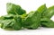 Fresh spinach with root, cut out on white transparent background