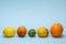 Fresh and spoiled citrus fruits on a light blue background