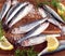 Fresh sprat fish