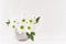 Fresh spring chamomile bouquet with leaves in silver modern vase on white wood table and soft light background.