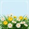 Fresh spring, daisies and dandelions, grass