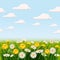 Fresh spring, daisies and dandelions, grass