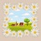 Fresh spring, daisies and farm, grass