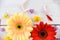 Fresh spring flowers gerbera colorful flower various on wooden white background