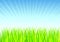 Fresh Spring Grass Vector