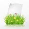 Fresh spring green grass frame template with curling blank sheet paper