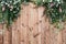 Fresh spring greens with white flower and leaf plant over wood fence background