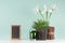 Fresh spring interior with green aloe, candlestick, decorative sheaf of brown twigs, blank photo frame, black books, white flowers