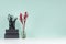 Fresh spring office workplace for business - black stationery, books, elegant decorative red branch in glass vase on green mint.