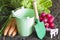 Fresh spring organic vegetables on the soil in the garden