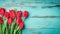 Fresh spring red tulips flowers on turquoise painted wooden planks