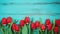 Fresh spring red tulips flowers on turquoise painted wooden planks