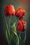 Fresh spring tulip flowers blossoms on vertical floral poster. Red tulips bouquet in vibrant tints isolated on blurry