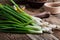 Fresh springtime green onion and garlic,  plant based food