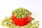 Fresh Sprouted mung beans or green gram beans in heart container