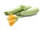Fresh squashes with flower on white background