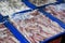 Fresh squids sale 260 baht per kilograms in seafood market