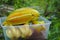 fresh starfruit or carambola (Averrhoa carambola)