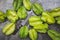 Fresh starfruit on the dark background