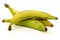 Fresh still unripe plantain (baking) bananas