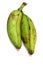 Fresh still unripe plantain baking bananas on a white background