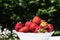 Fresh strawberries in a bowl in a garden