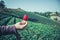 Fresh strawberries closeup. holding strawberry in hands