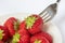 Fresh strawberries eaten with a fork from a bowl on a white background