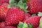 Fresh Strawberries fruits close up background, species Fragaria ananassa cultivated worldwide.