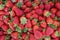 Fresh Strawberries fruits close up background, species Fragaria ananassa cultivated worldwide.