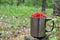 Fresh strawberries in a large chrome mug on the background of green leaves in the forest. Collecting wild berries