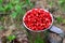 Fresh strawberries in a large chrome mug on the background of green leaves in the forest. Collecting wild berries -  Image